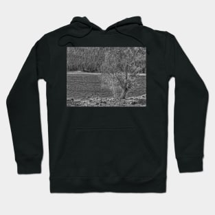 Forest Through The Trees - Black And White Hoodie